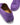 Women's Tasselled Driving Loafers, purple embossed suede-4